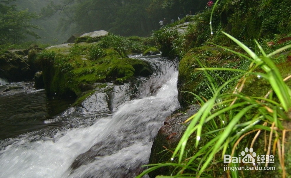 抚顺到张家界自驾游