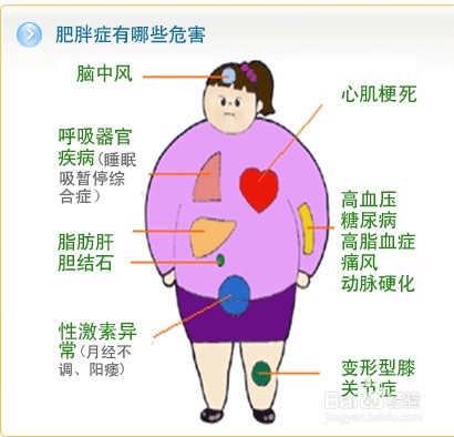 健身养生-对肥胖说NO，减肥瘦身美丽方法多