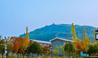 攻略路线一亲子游