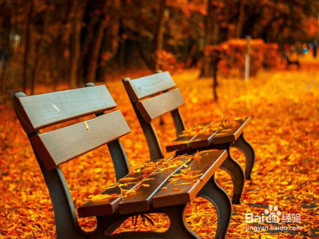 和女孩子聊天的时候如何做到不冷场？