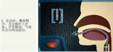 n和l的发音的窍门