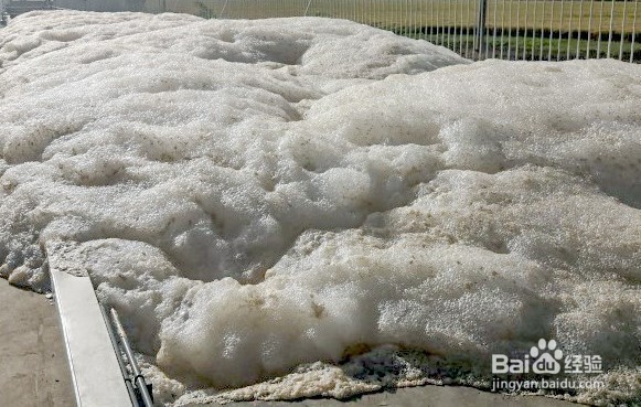 城市污水处理厂出水氨氮超标原因研究