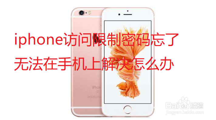 <b>iphone访问限制密码忘了无法在手机上解决怎么办</b>