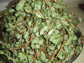 怀孕期间忌口的食物 百度经验