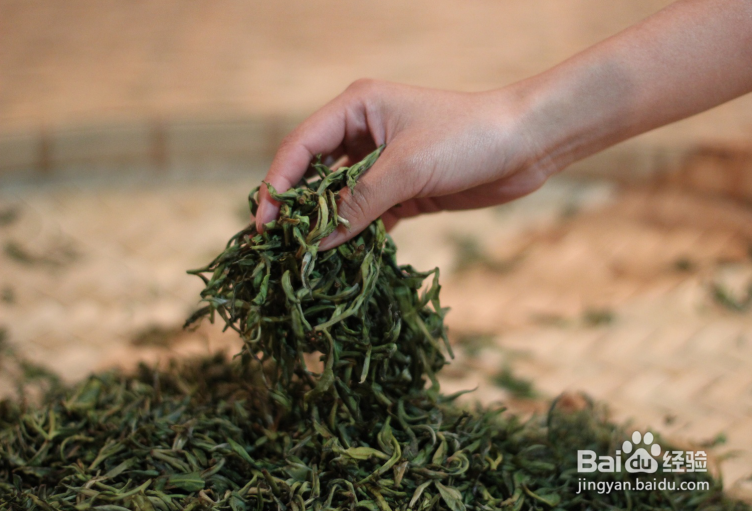 陈香普洱的功效与作用