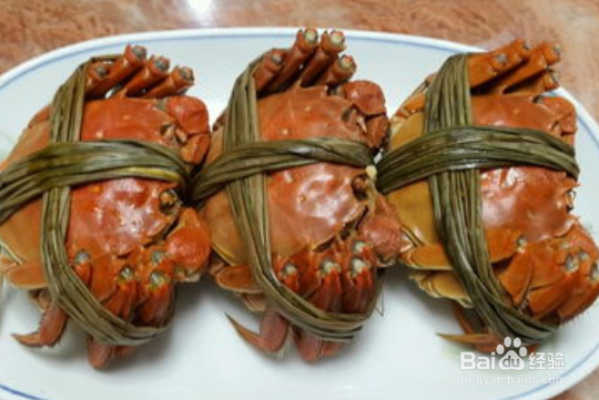 为什么大闸蟹这么贵