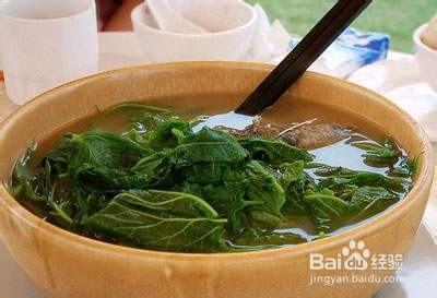 教你如何用桑叶减肥