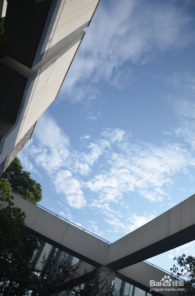 【新生指南】同济大学嘉定校区：[1]图书馆篇