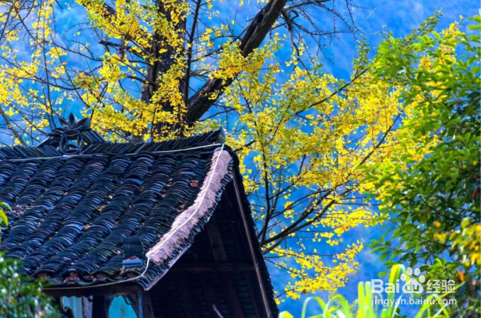秋天必去的10个古村落,挑一个出发吧