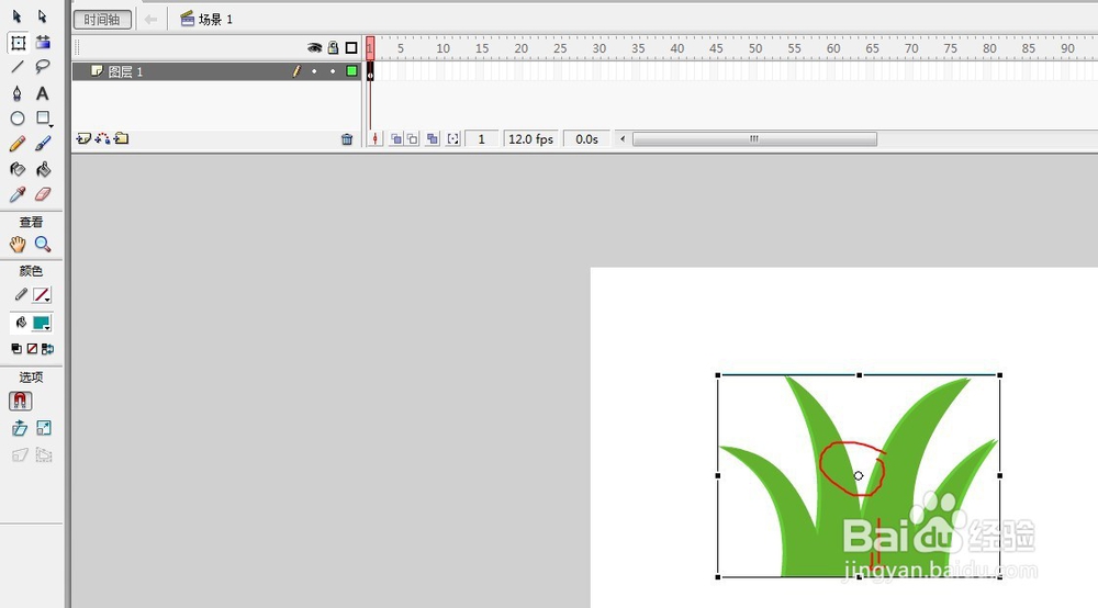 flash绘制植物随风摆动的动画