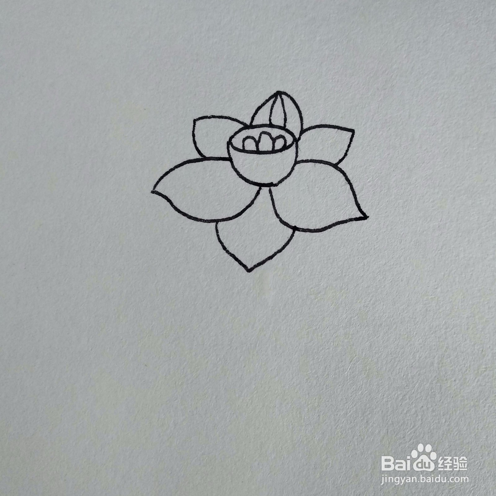 如何画一棵妖艳好看的水仙花植物简笔画？