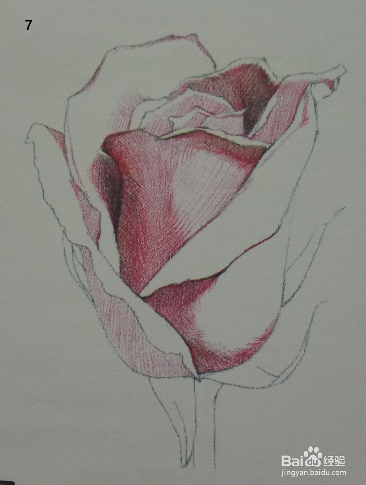 色铅笔画一朵红玫瑰(素描进阶)