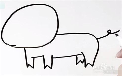 伴儿成长简笔画系列-怎样画可爱小猪简笔画