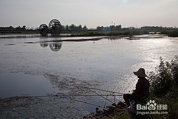 夏季如何钓草鱼的小技巧介绍