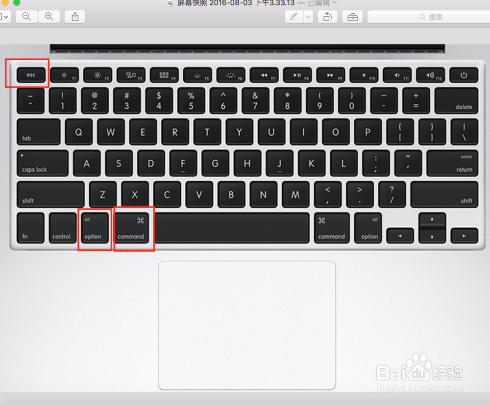 苹果电脑怎么打开任务管理器