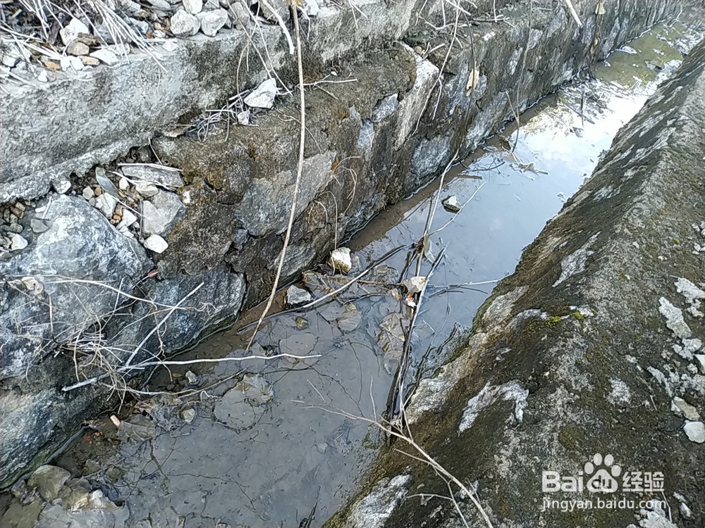 重载路堤填土压实施工流程要素有哪些？