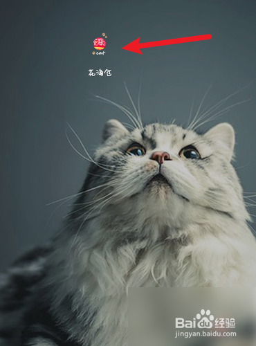 花海仓如何清除缓存