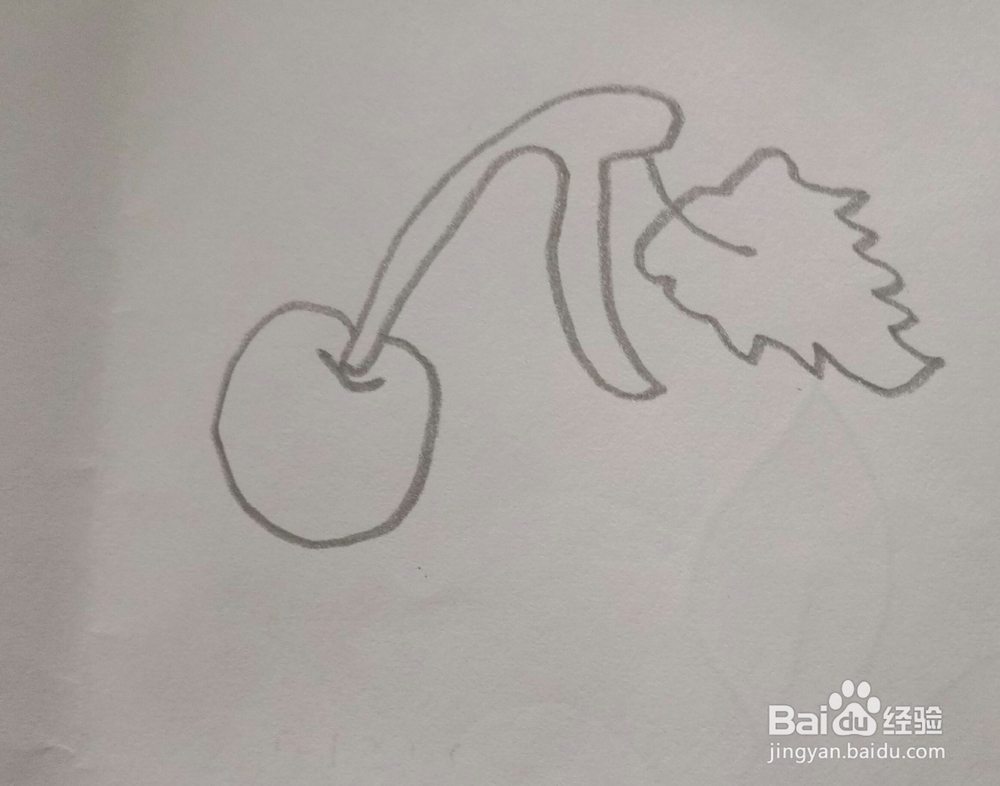 简笔画樱桃的画法13