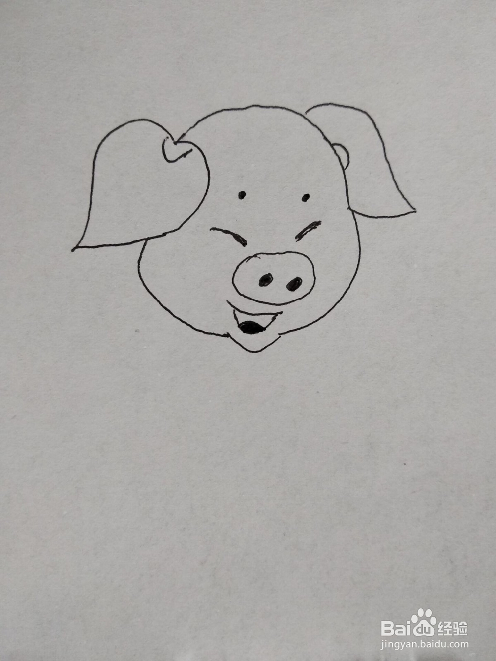 猪年开心小猪简笔画方法