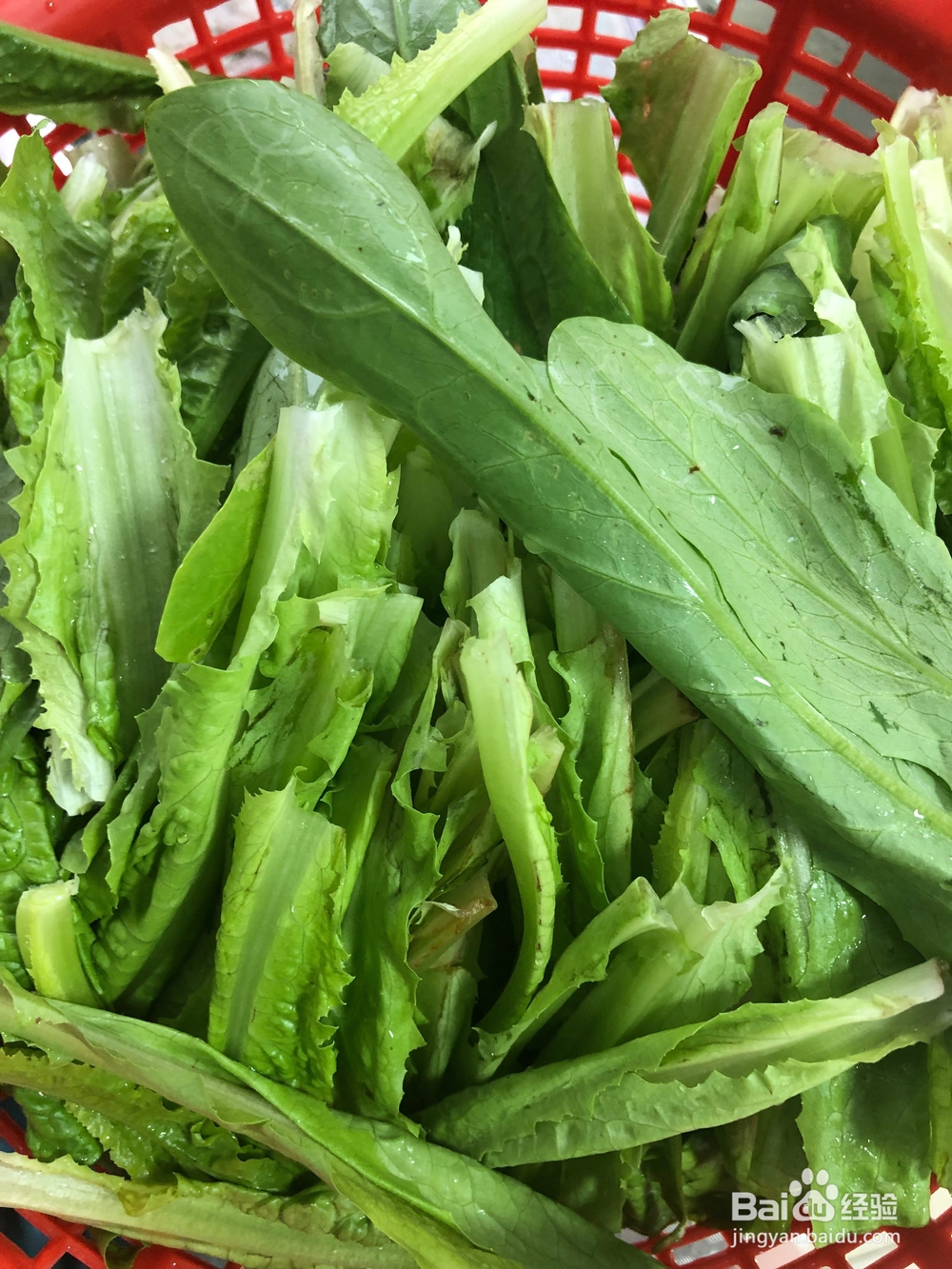 炒油麦菜的简易做法