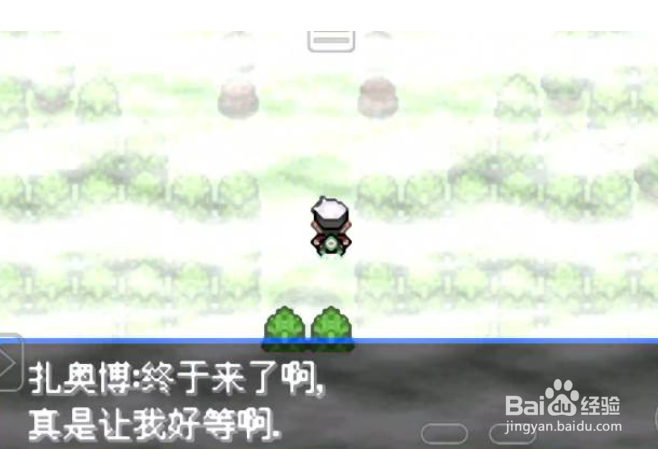 究极绿宝石5迷途之森怎么走