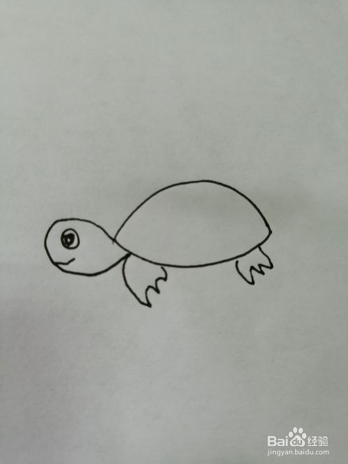 简单的小乌龟怎么画