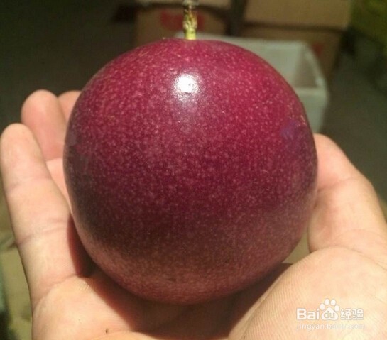 百香果如何保存