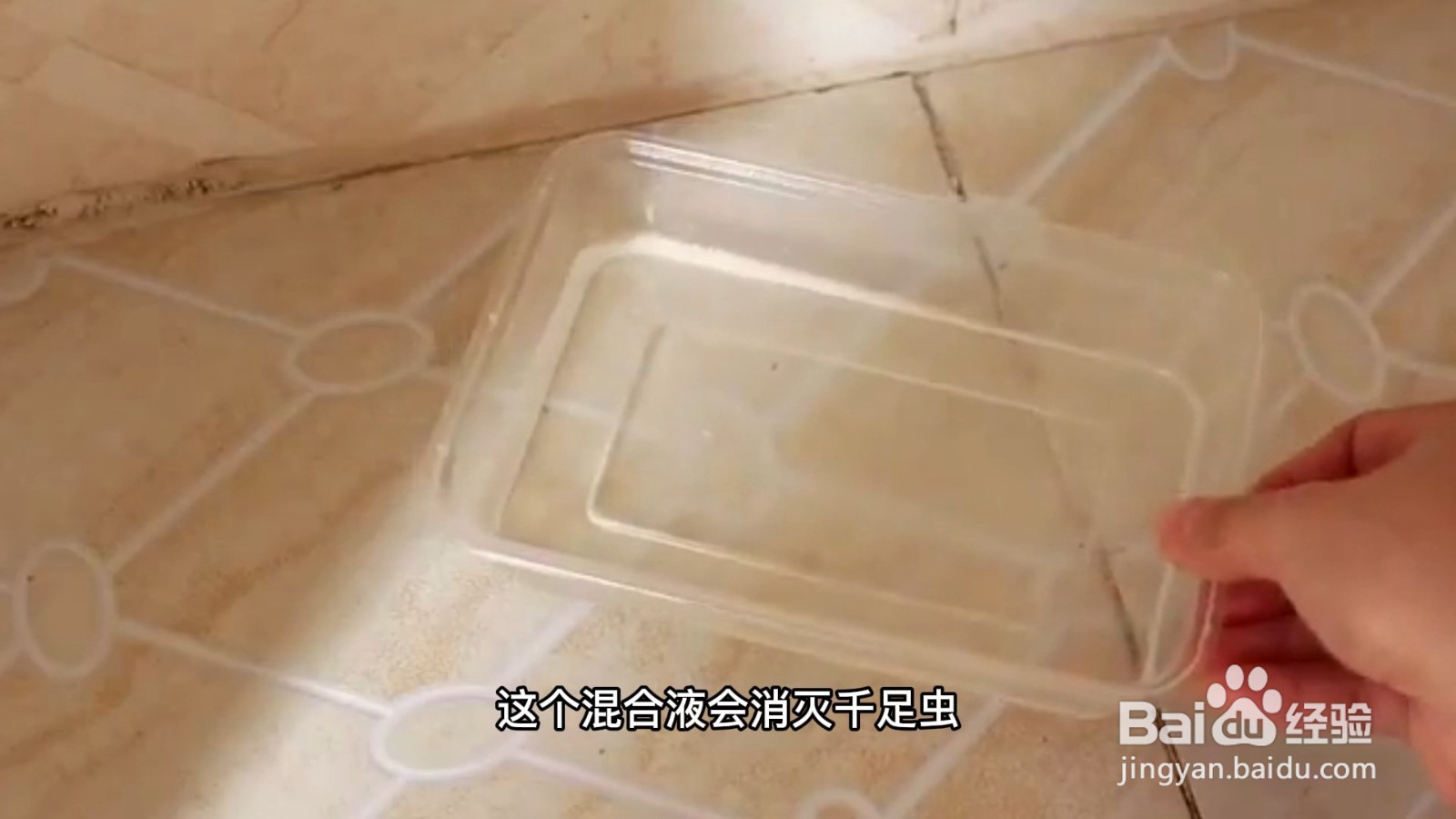 千足虫怎么消灭