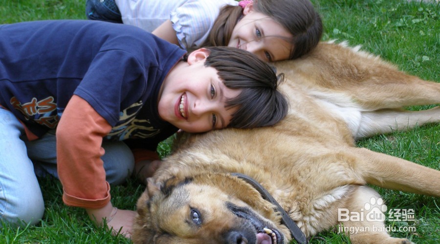夏日宝宝安全防护要注意