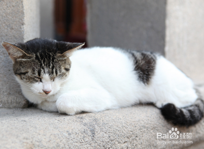 脚臭出汗的解决方法