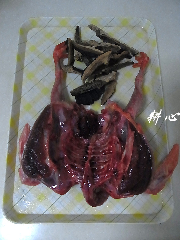 养身滋补美食，鲜美的灵芝老鸽汤