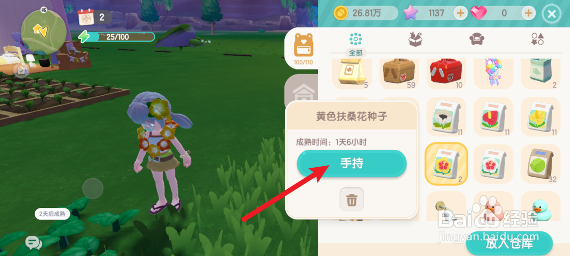 心动小镇扶桑花怎么杂交