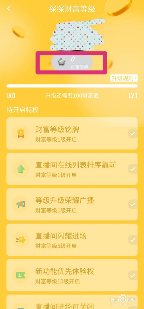 探探怎么查看财富等级和升级规则