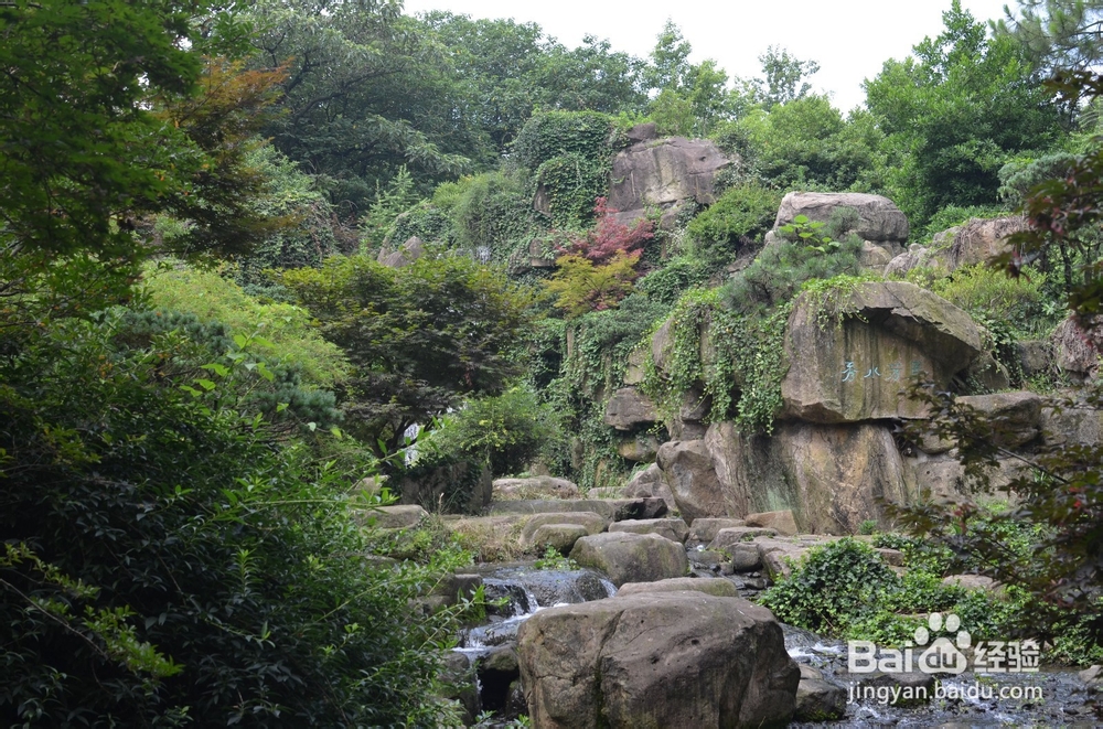 14年11月亚龙湾最新出行、餐饮贴士