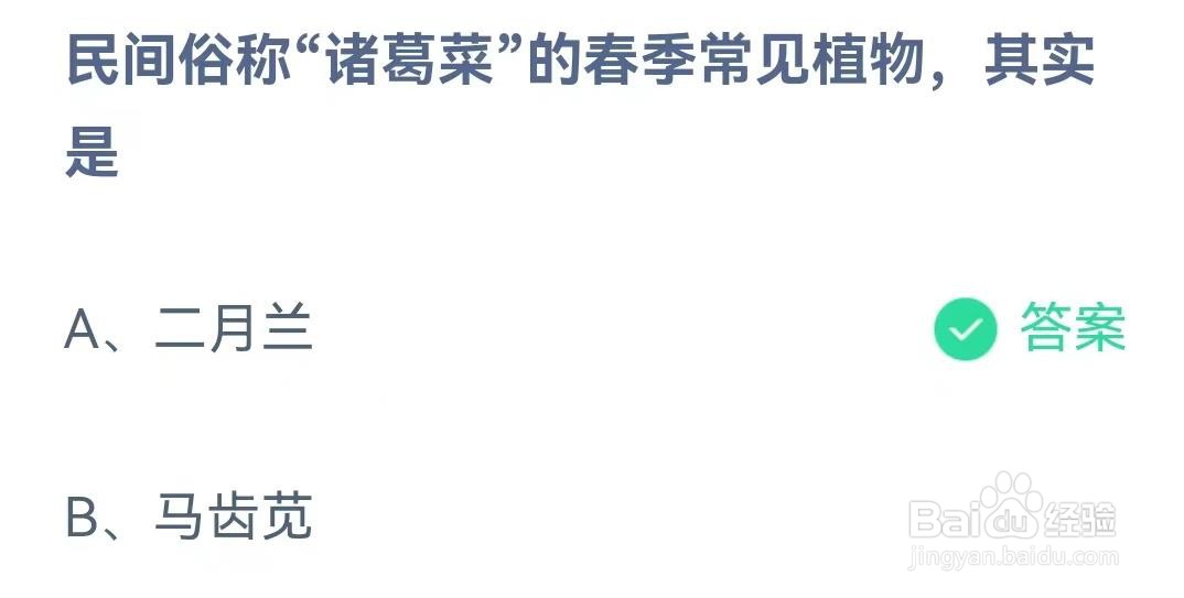 民间俗称“诸葛菜”的春季常见植物是