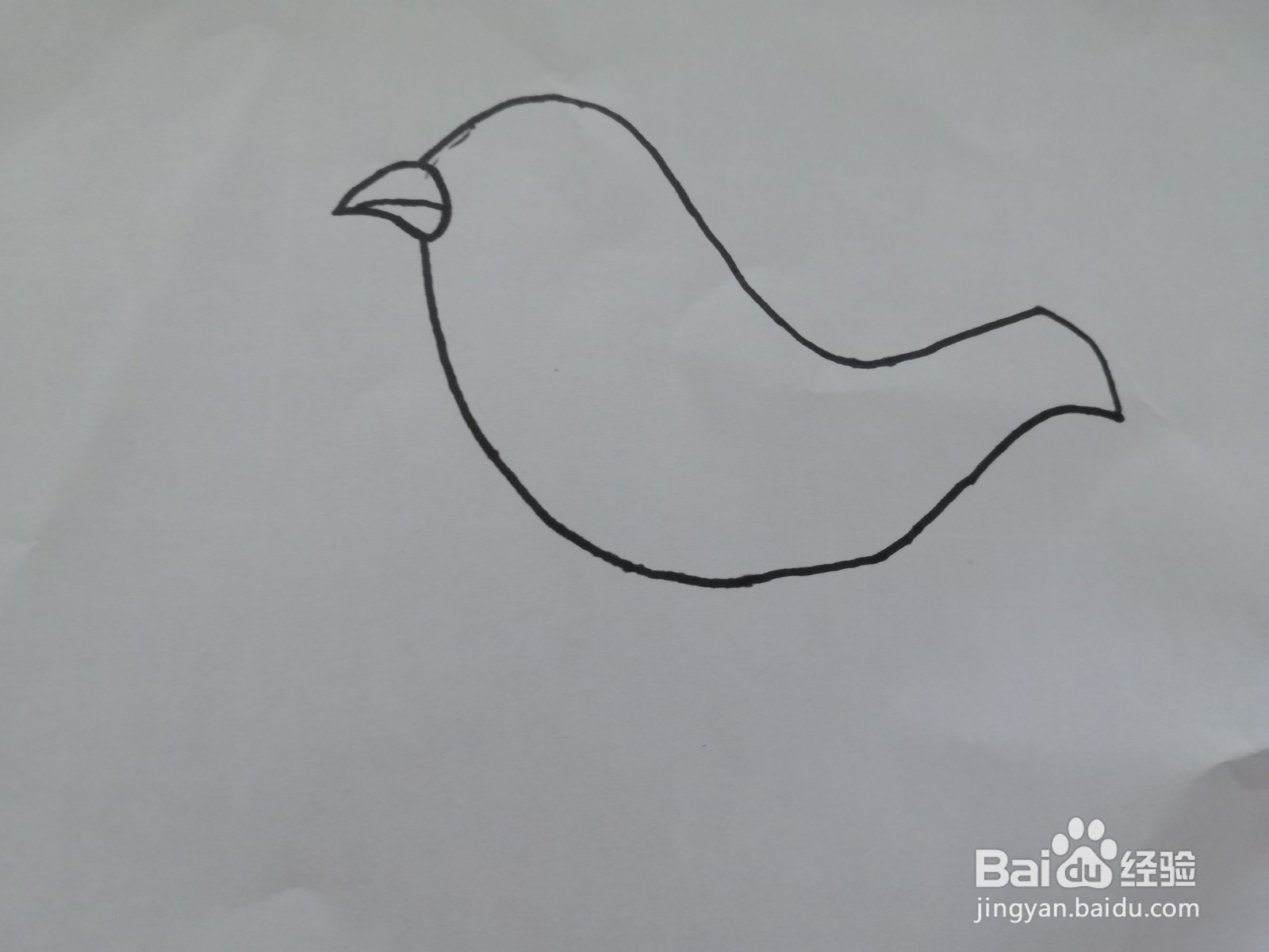 可爱的黄鹂鸟画法