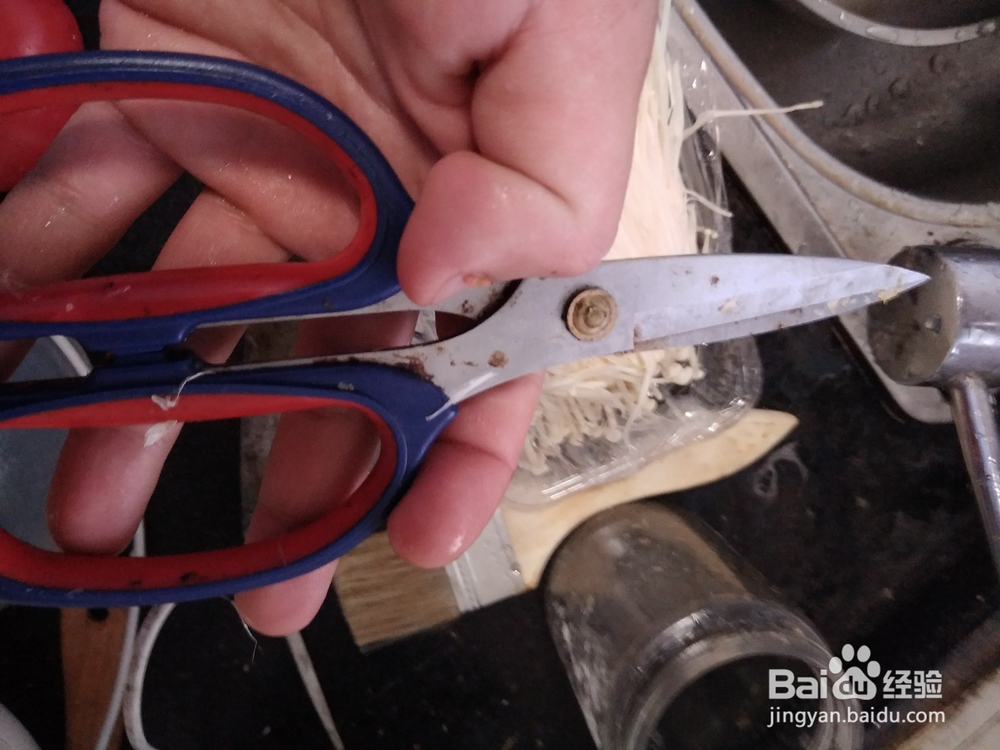 金针菇的根部剪切