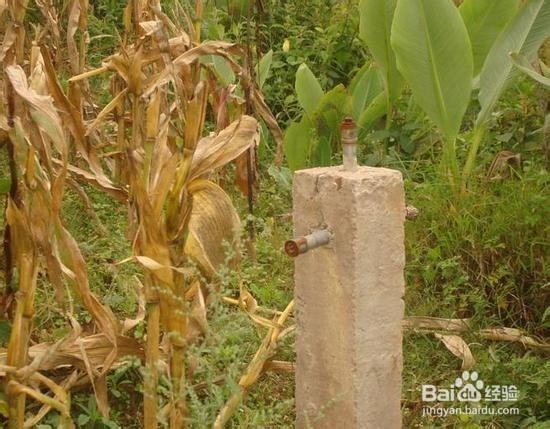 偷工减料大揭密（P）