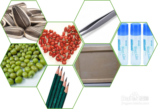 如何做种子贴画