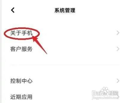 vivo手机怎么操作才能开启开发者模式