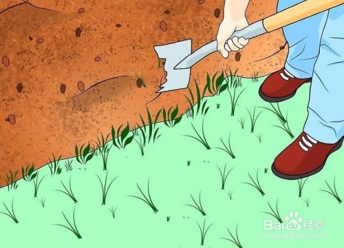 如何为菜园准备土壤 百度经验