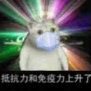 WPS如何选择关于沙雕猫的表情包