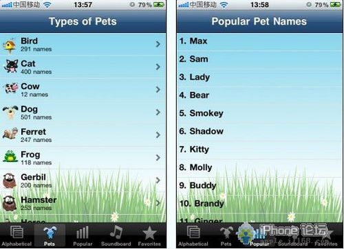iPhone爱宠达人必备应用-宠物起名器