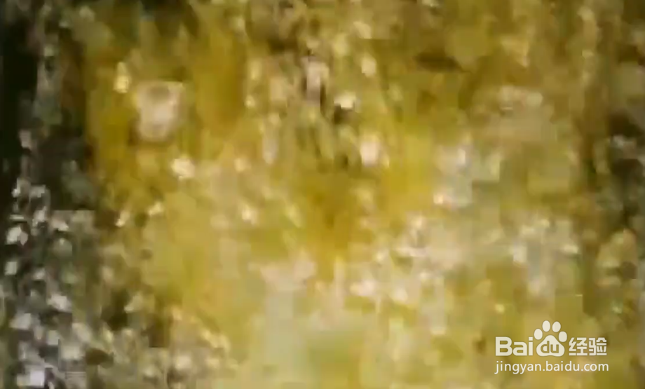 如何制作一些简单美味的小零食