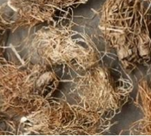 手生冻疮怎么办