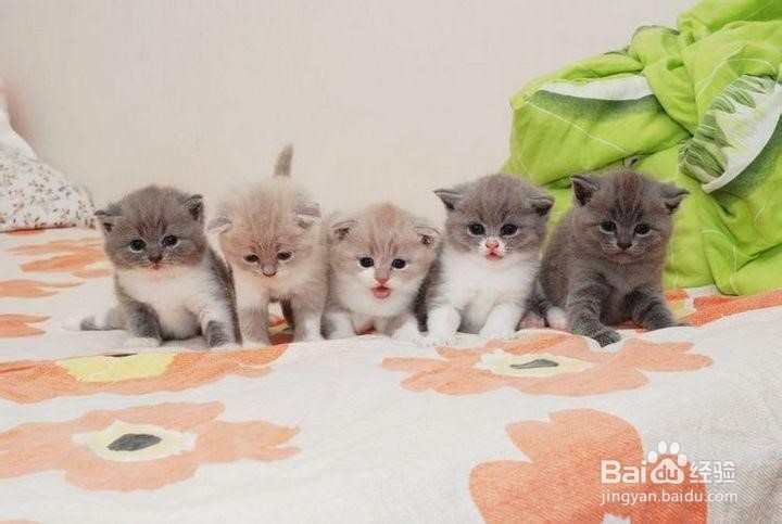 如何巧过一个人的周末?