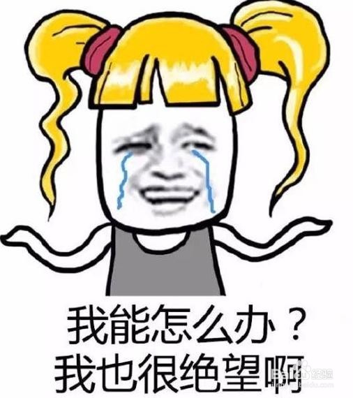 教大家苹果手机彻底删除的照片恢复方法