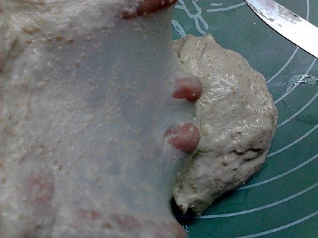 山核桃全麦小土司