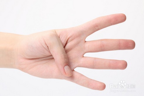 五个手指的特点和作用
