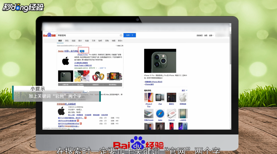 官方网站怎么查询